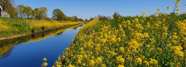 Foto Waterschap Vallei en Veluwe.jpeg